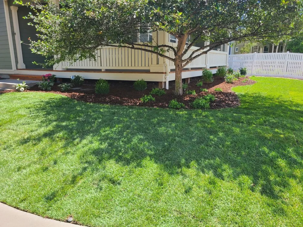 Professional outdoor landscaping experts serving Longmont, CO - Green Guys