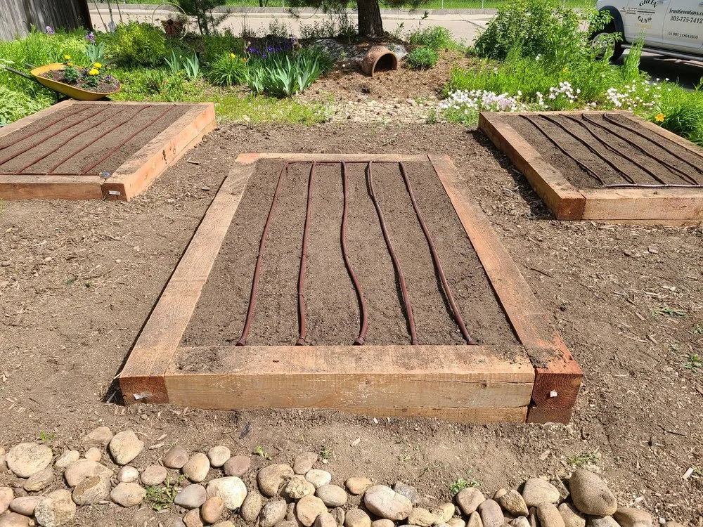 Affordable landscaping services for residential properties in Longmont, CO by Green Guys