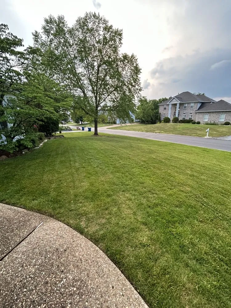 Expert yard cleanup service in St. Peters, MO by Green Guys Services