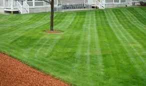 Professional yard maintenance in St. Peters, MO by Green Guys Services