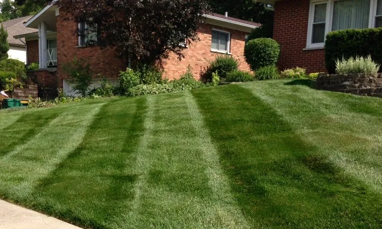 Custom yard maintenance in St. Peters, MO by Green Guys Services