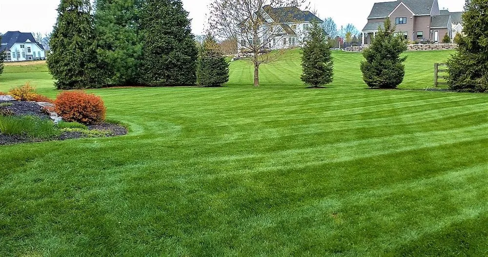 Affordable yard maintenance in St. Peters, MO - Green Guys Services