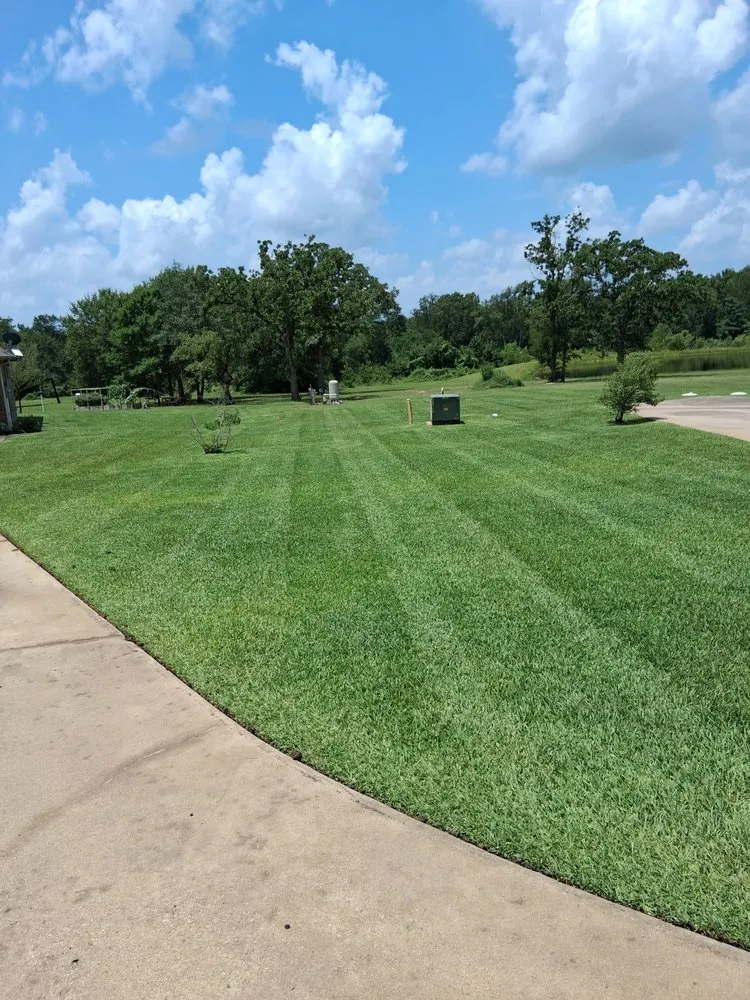 Professional landscape installation for homes across College Station, TX - Green Hand
