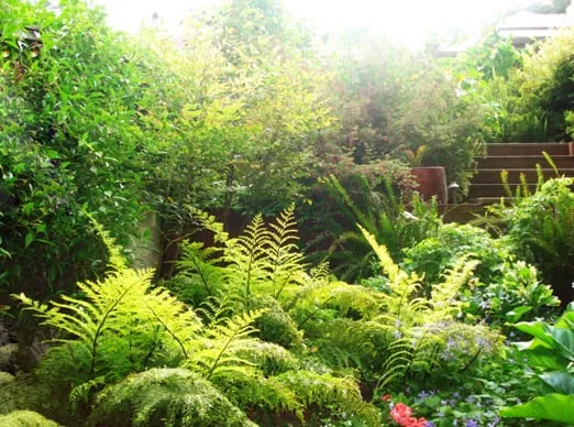 Local residential landscaping in San Rafael, CA by Green Hand Landscaping