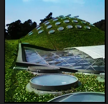 Trusted residential landscaping experts serving San Rafael, CA - Green Hand Landscaping