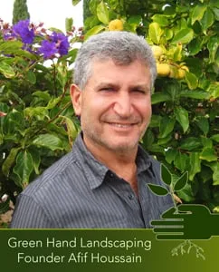 Expert yard cleanup service for beautiful yards in San Rafael, CA by Green Hand Landscaping
