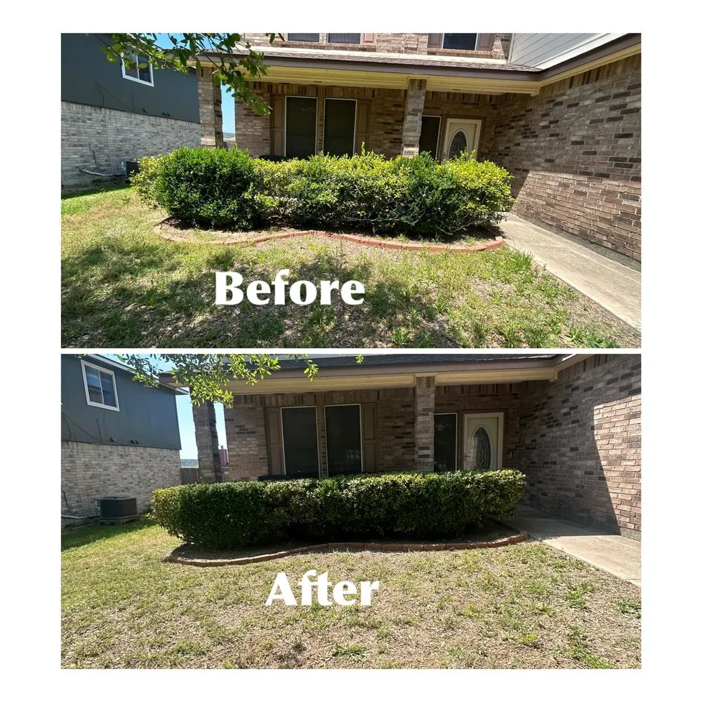 Custom lawn care service in Belton, TX by Green Hands Lawn & Home Care