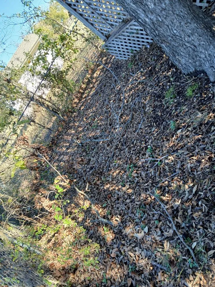 Professional landscape design near you in Belton, TX by Green Hands Lawn & Home Care