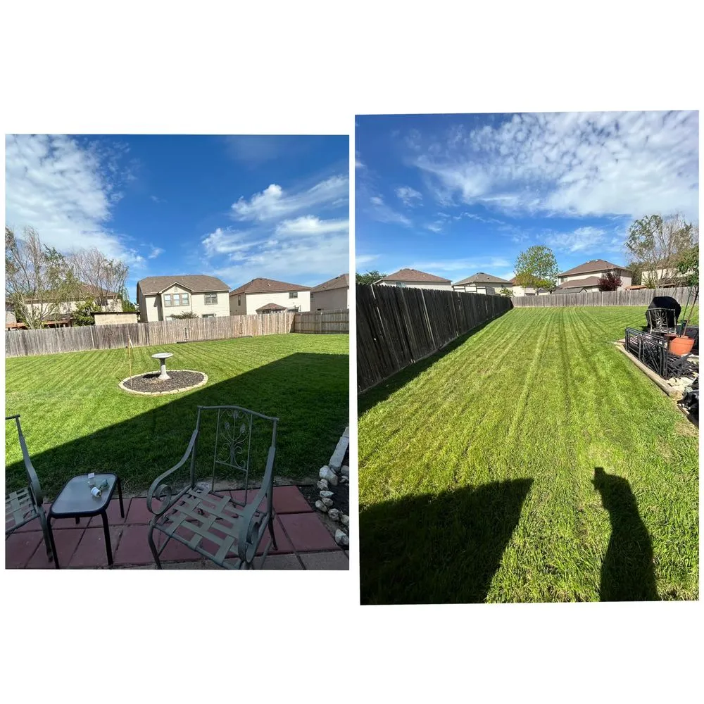 Top-rated yard cleanup service in Belton, TX by Green Hands Lawn & Home Care