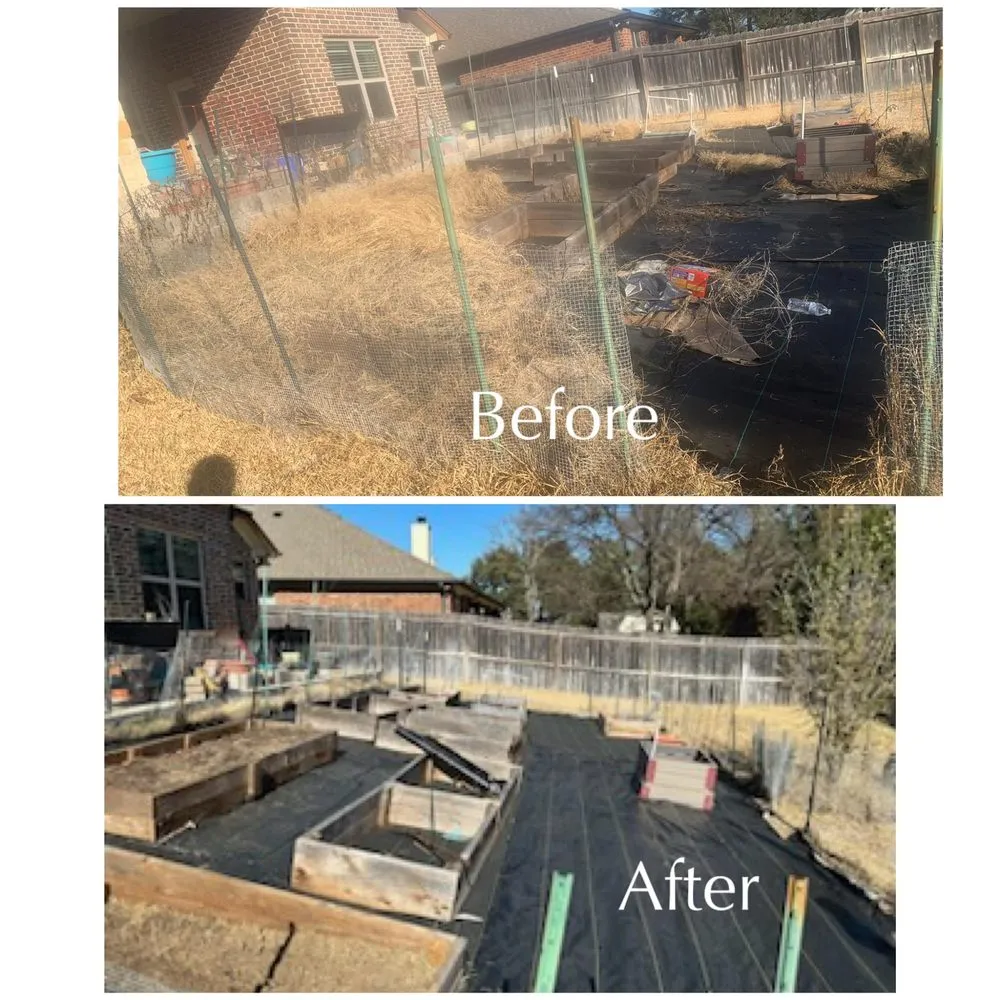 Reliable landscaping services experts serving Belton, TX - Green Hands Lawn & Home Care