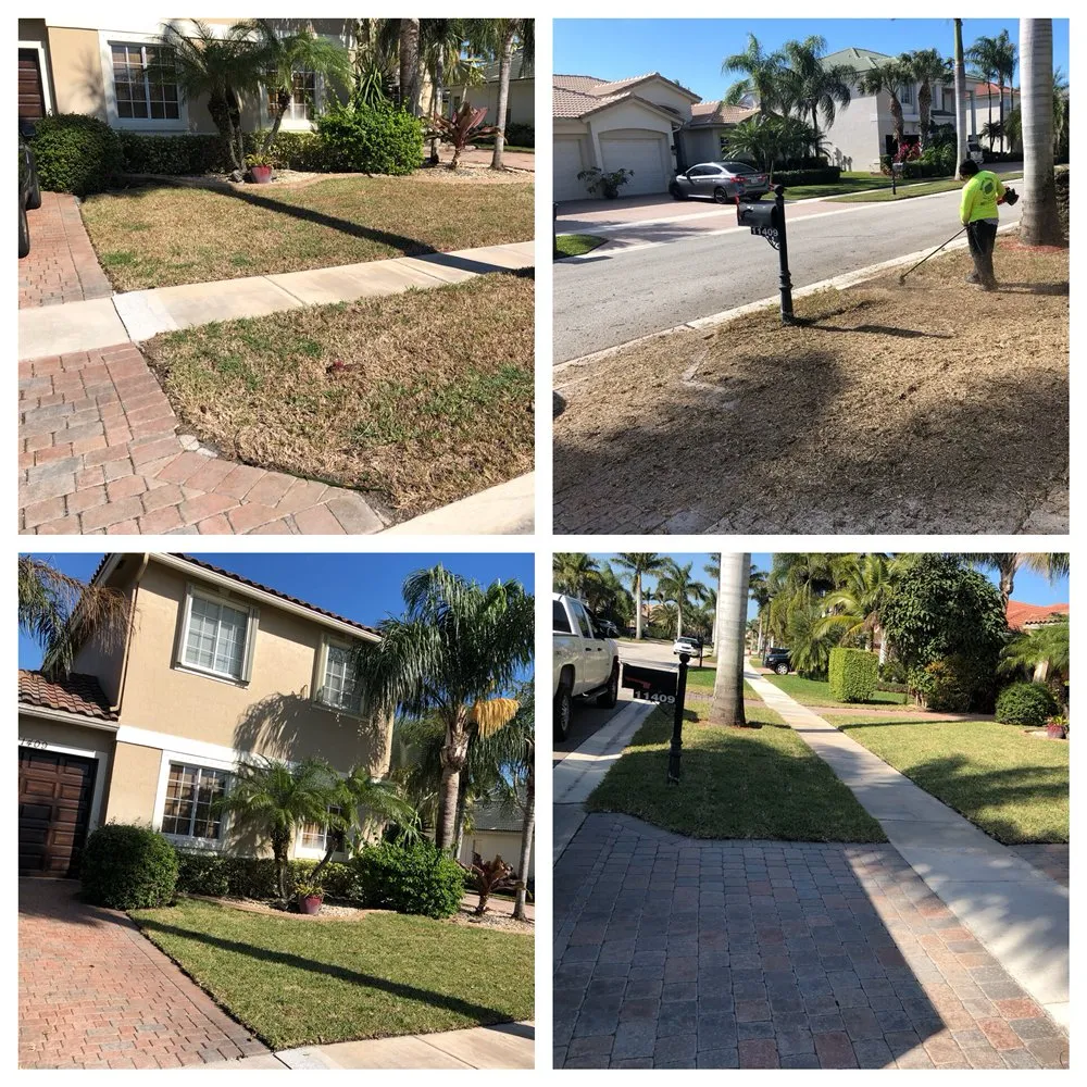 Local residential landscaping near you in Palm Springs, FL by Green Hands