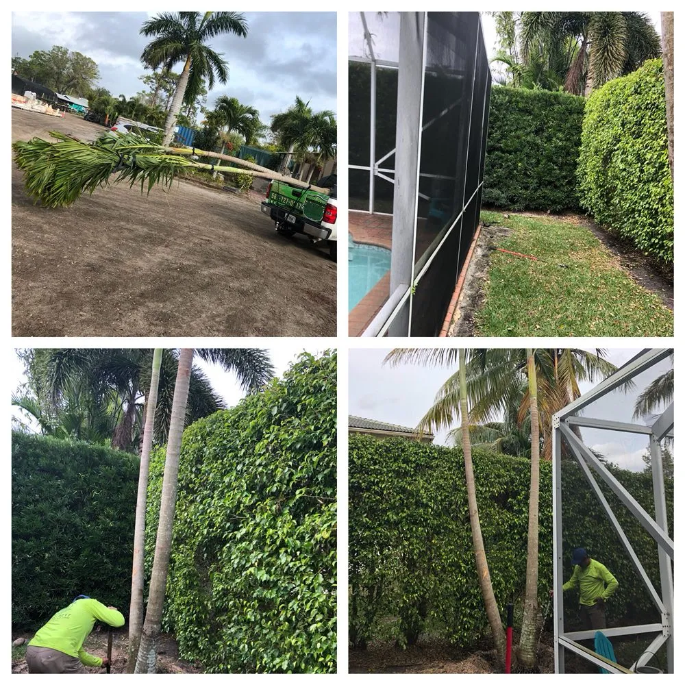 Expert landscaping services in Palm Springs, FL - Green Hands