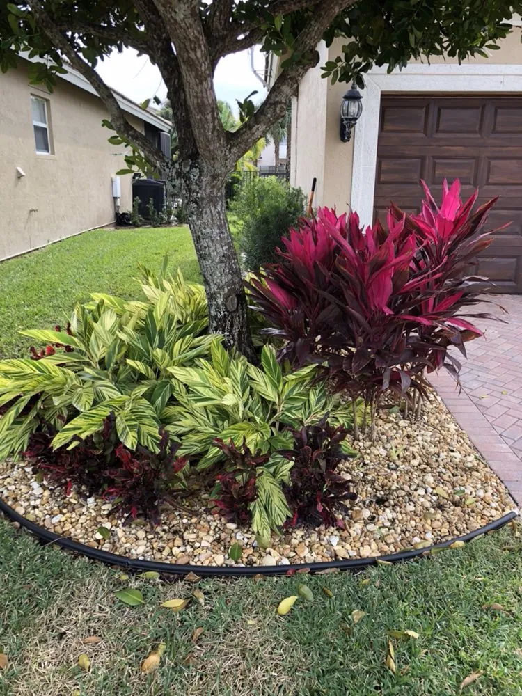 Top-rated landscaping services near you in Palm Springs, FL by Green Hands