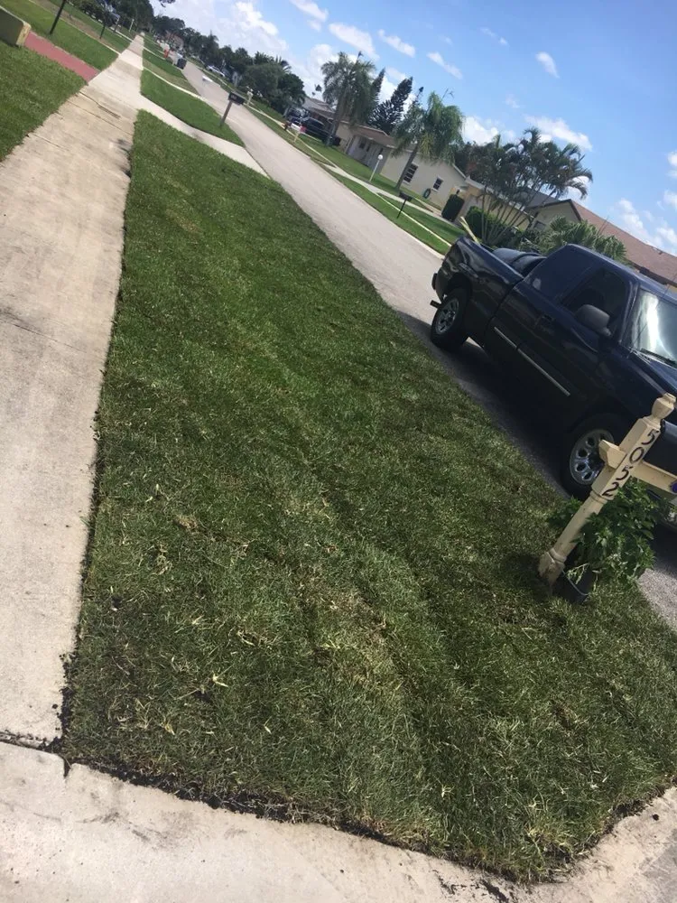 Custom outdoor landscaping in Palm Springs, FL by Green Hands