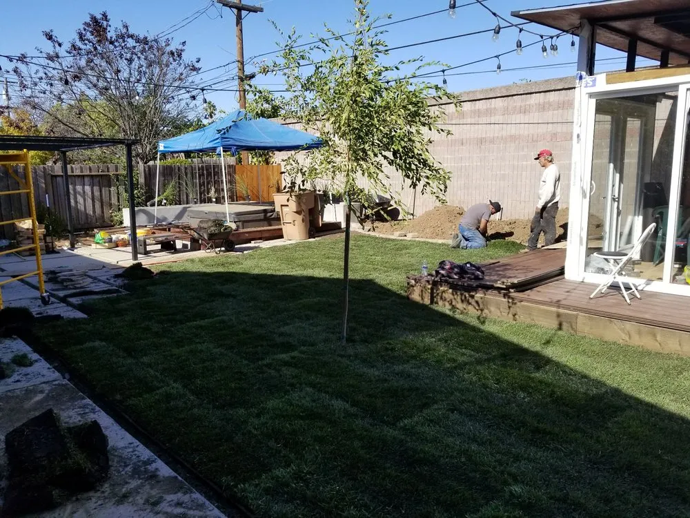 Expert lawn care service near you across Cupertino, CA - Green Hard and Landscaping