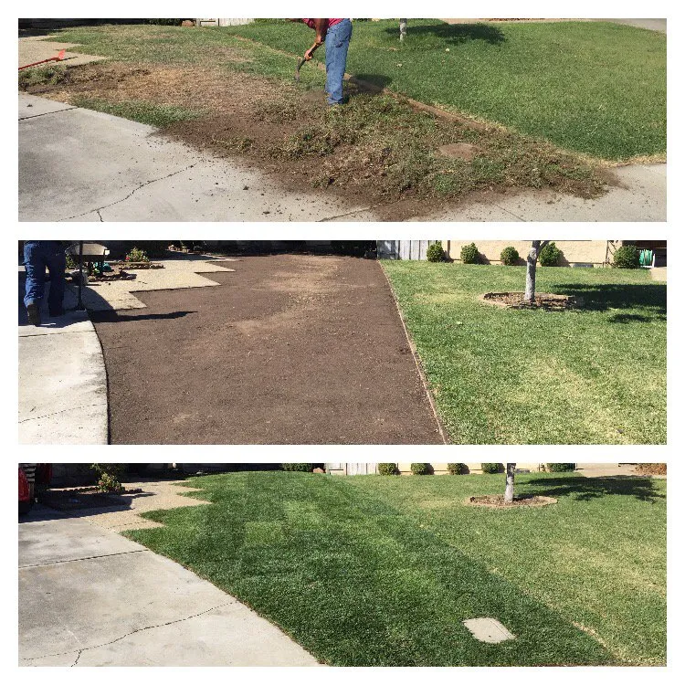 Trusted landscape installation for beautiful yards across Cupertino, CA - Green Hard and Landscaping