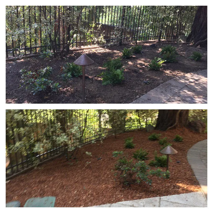 Expert residential landscaping experts serving Cupertino, CA - Green Hard and Landscaping