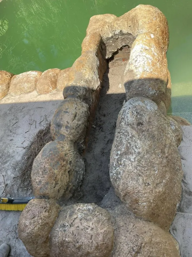 Custom yard cleanup service in Vero Beach, FL by Green Harvard landscaping