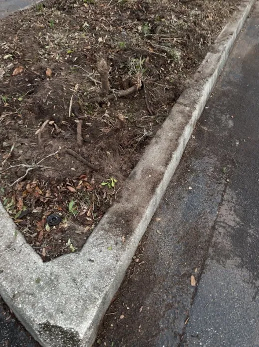 Local residential landscaping for beautiful yards in Vero Beach, FL by Green Harvard landscaping