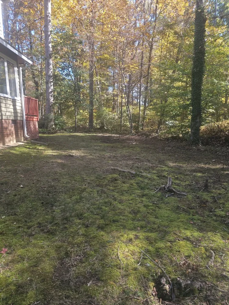 Professional landscape installation in Richmond, VA - Green Harvest Landscaping