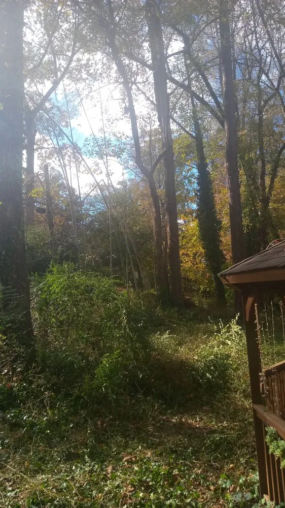 Local lawn mowing service near you across Richmond, VA - Green Harvest Landscaping