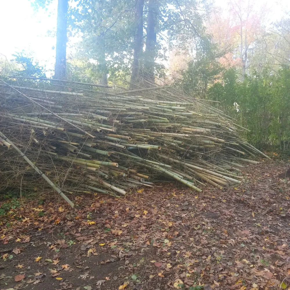 Expert garden landscaping in Richmond, VA by Green Harvest Landscaping