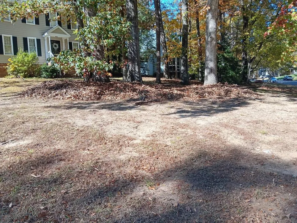 Expert lawn care service for residential properties in Richmond, VA by Green Harvest Landscaping