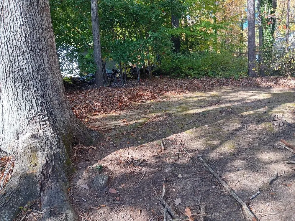 Reliable yard maintenance experts serving Richmond, VA - Green Harvest Landscaping