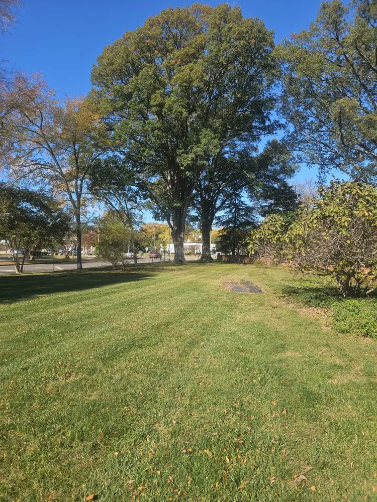 Professional garden landscaping for outdoor upgrades across Richmond, VA - Green Harvest Landscaping