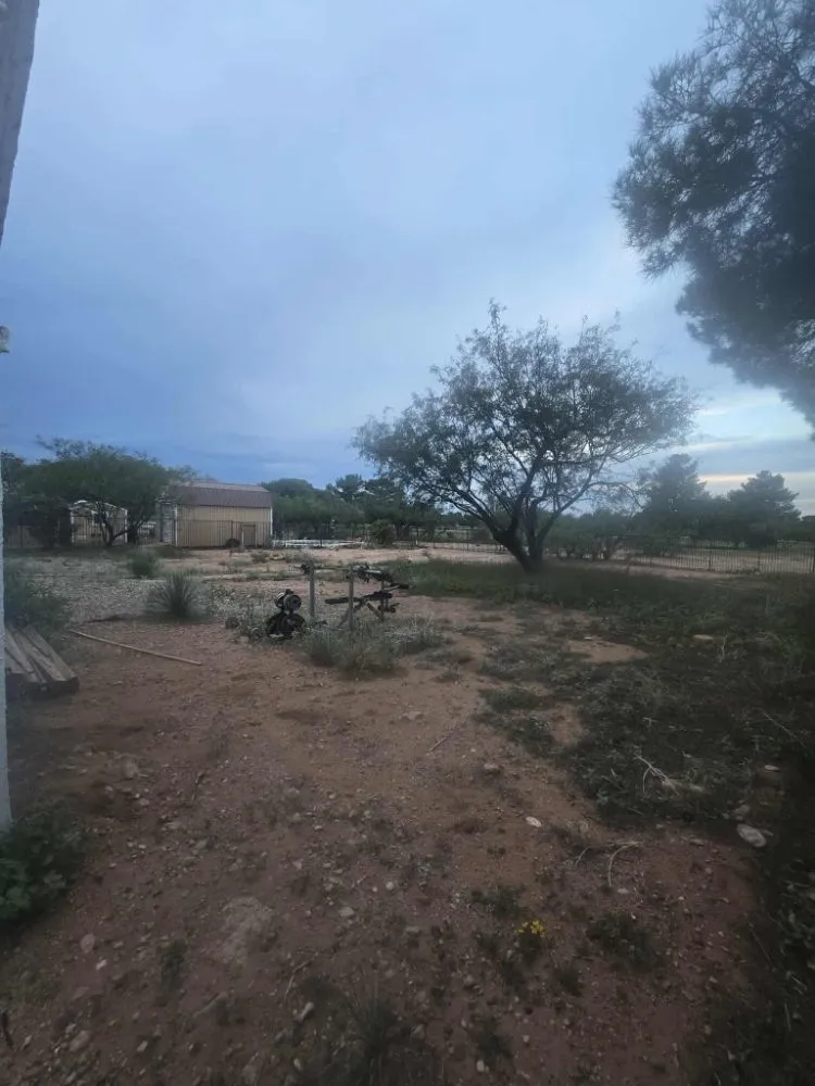 Reliable lawn mowing service in Hereford, AZ - Green Haul Solutions
