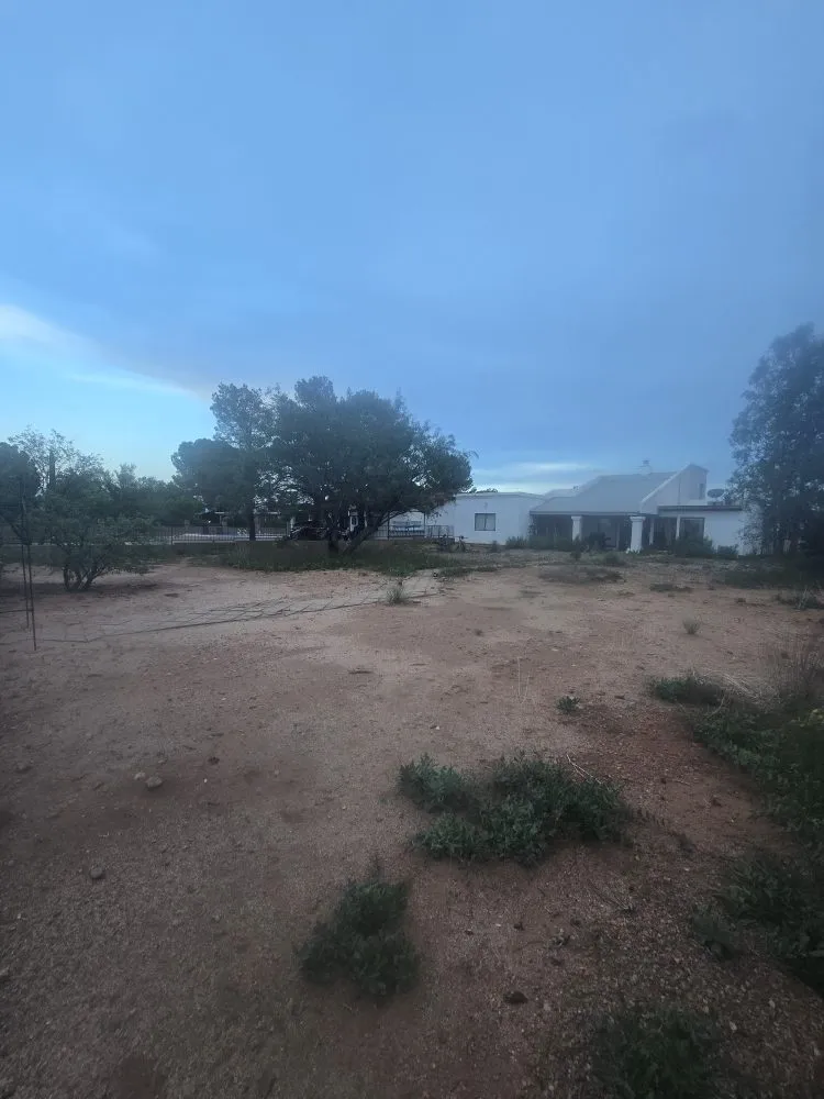 Affordable yard cleanup service in Hereford, AZ - Green Haul Solutions