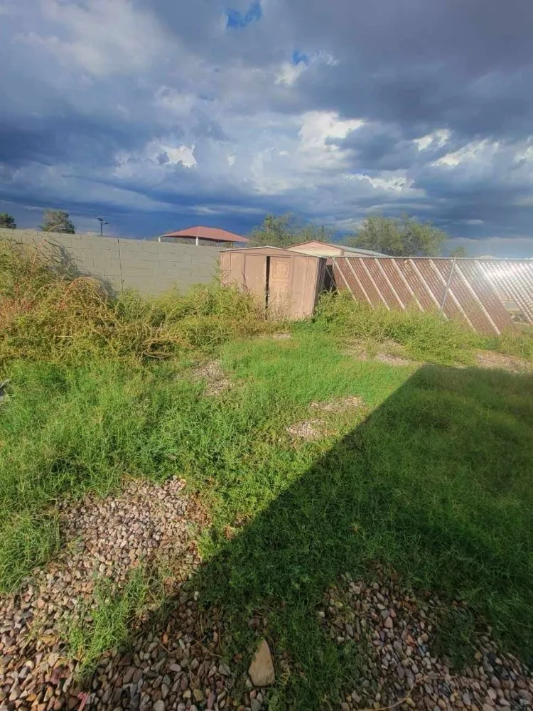 Custom yard cleanup service for outdoor upgrades across Hereford, AZ - Green Haul Solutions