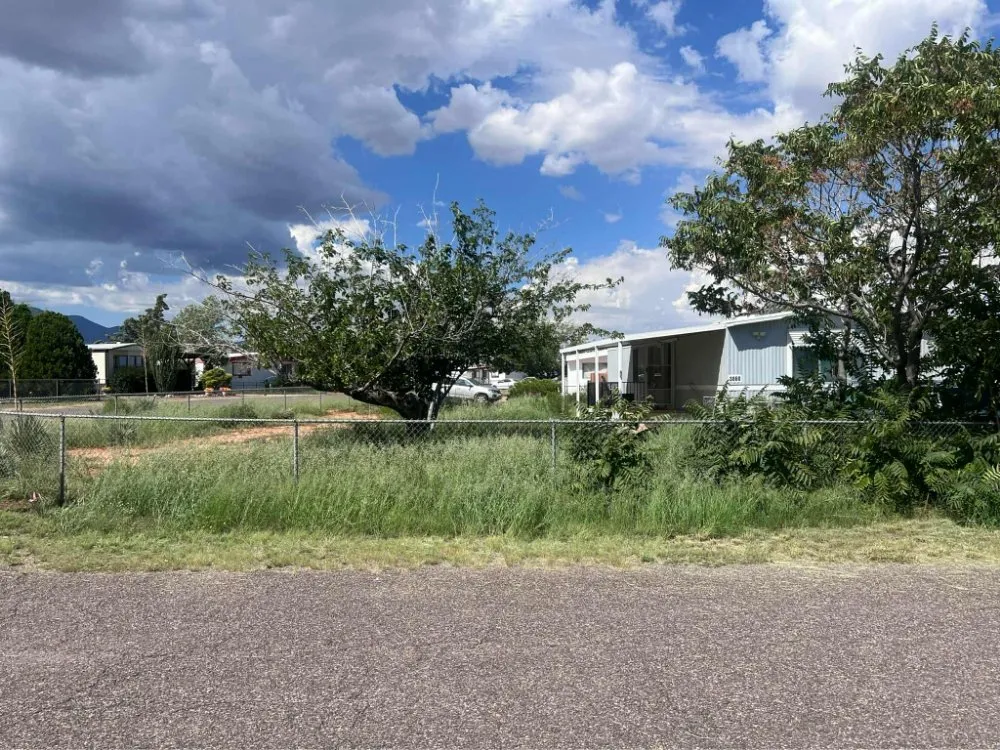 Trusted yard maintenance in Hereford, AZ - Green Haul Solutions
