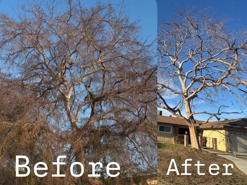 Custom landscaping services for residential properties in Bakersfield, CA by Green Haven Gardening Services