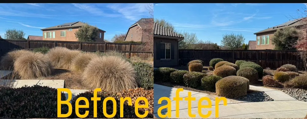 Trusted landscape installation in Bakersfield, CA - Green Haven Gardening Services