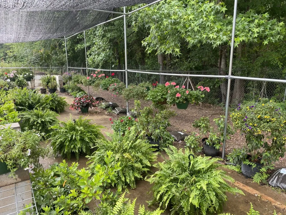 Trusted outdoor landscaping for outdoor upgrades in Hull, GA by Green Haven Landscape Supply