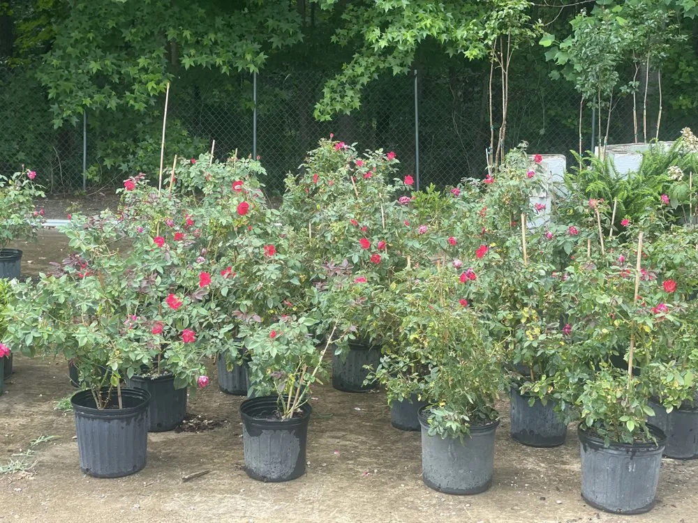 Expert residential landscaping in Hull, GA by Green Haven Landscape Supply