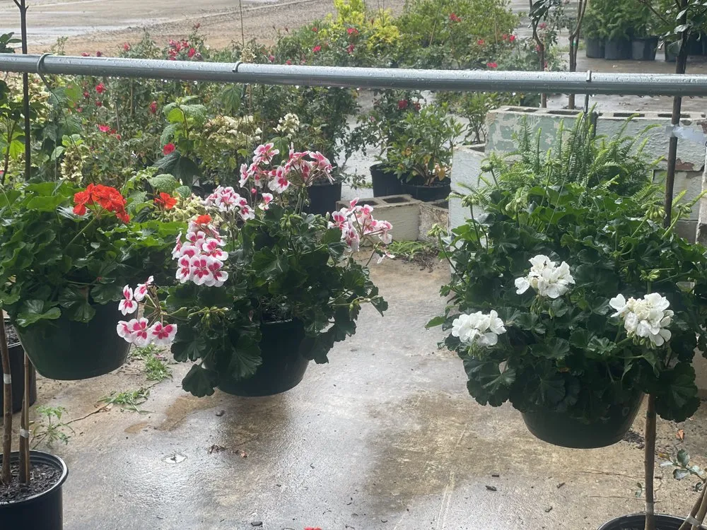 Expert yard cleanup service for outdoor upgrades in Hull, GA by Green Haven Landscape Supply
