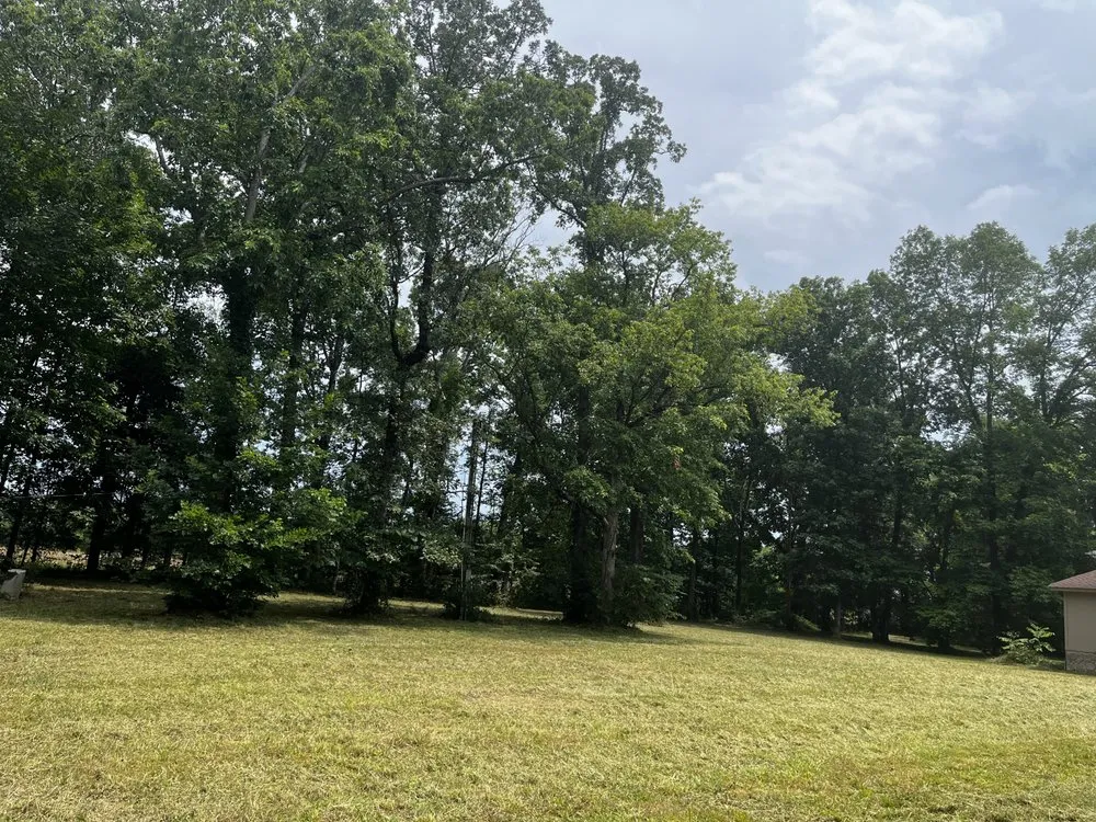 Professional landscape design in Chapel Hill, TN by Green-Haven Landscaping