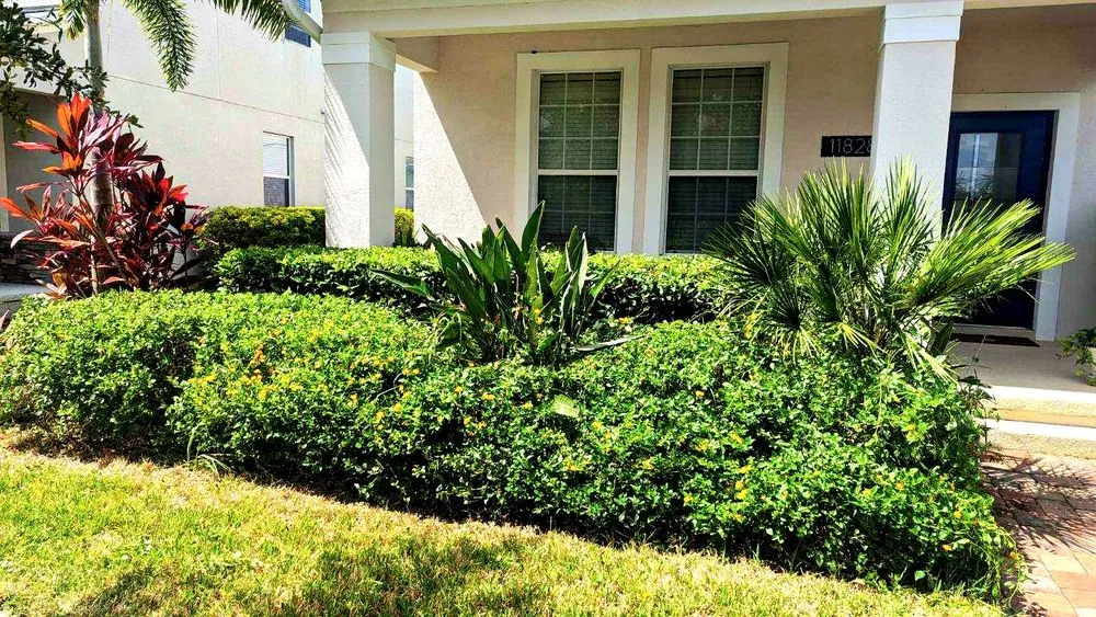 Local yard cleanup service for residential properties in Winter Springs, FL by Green Haven Landscaping