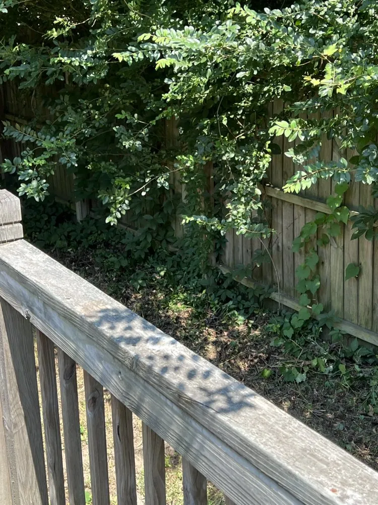 Expert lawn care service experts serving Virginia Beach, VA - Green Haven Lawncare & Landscaping