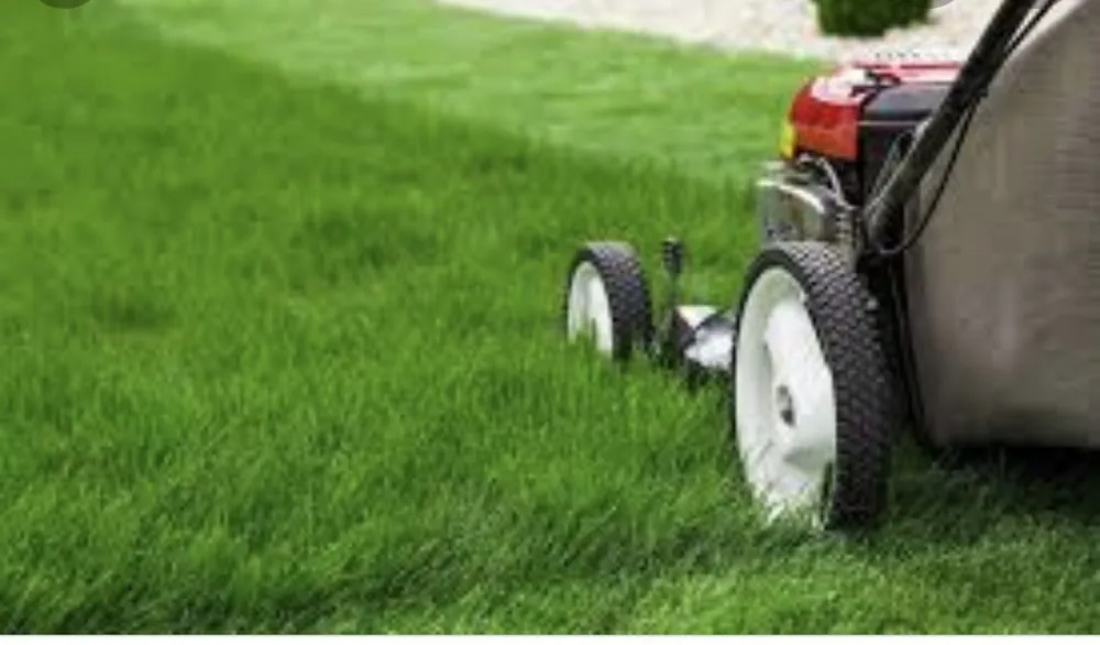 Custom yard cleanup service for homes across Virginia Beach, VA - Green Haven Lawncare & Landscaping