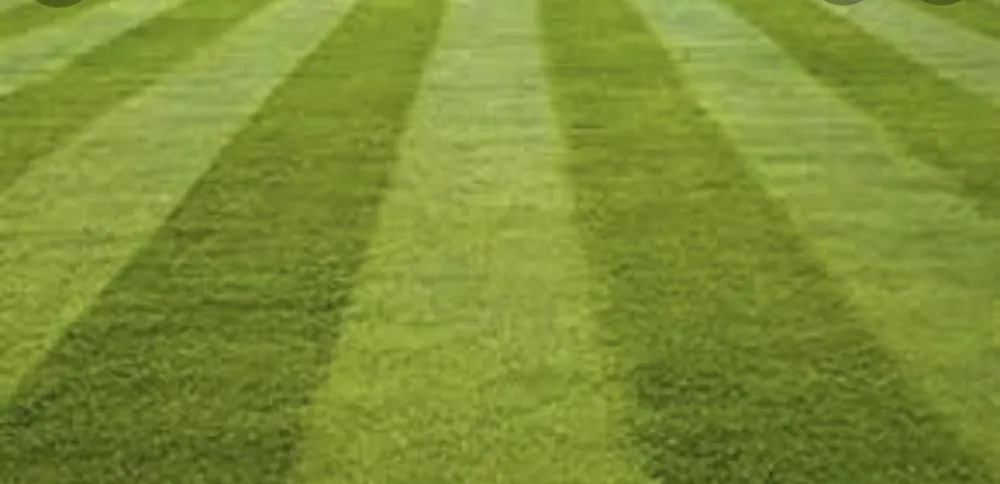 Professional landscape installation for outdoor upgrades across Virginia Beach, VA - Green Haven Lawncare & Landscaping