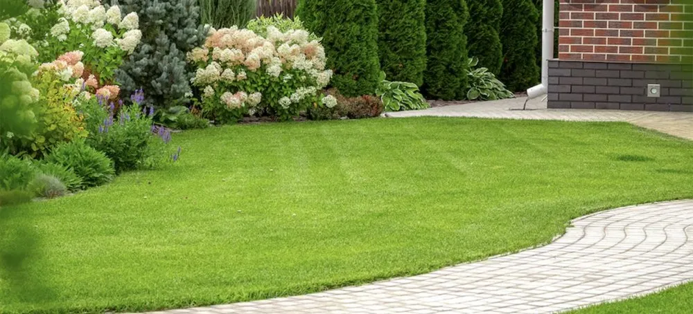 Local outdoor landscaping experts serving Virginia Beach, VA - Green Haven Lawncare & Landscaping