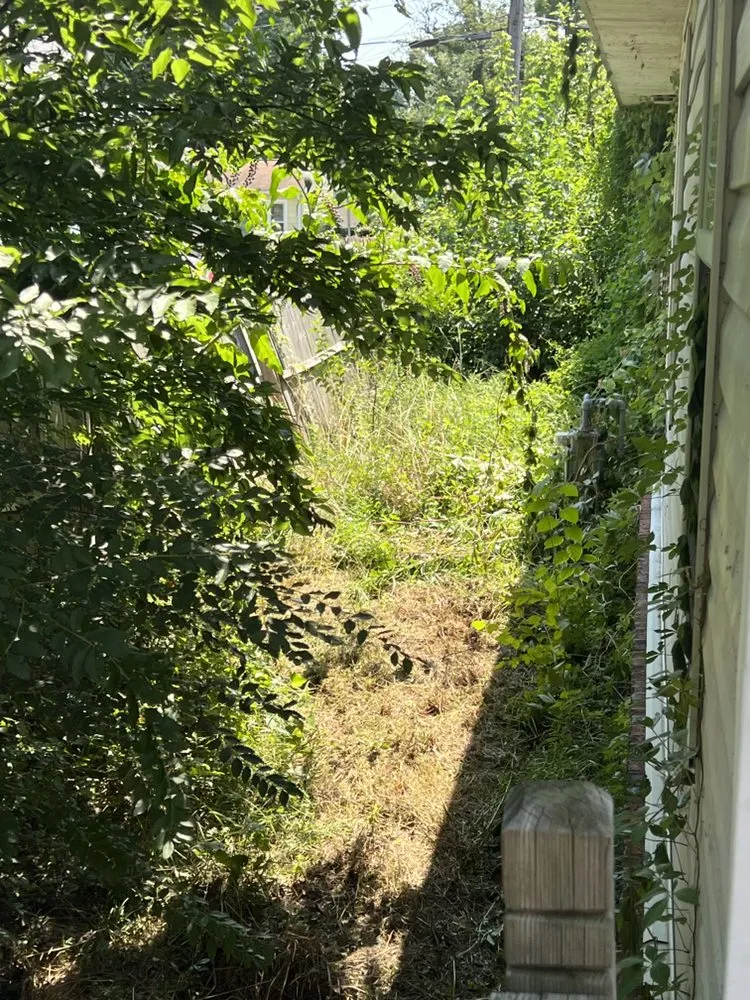 Local garden landscaping for beautiful yards in Virginia Beach, VA by Green Haven Lawncare & Landscaping