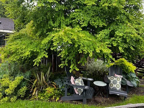 Custom landscaping services with custom design across Virginia Beach, VA - Green Haven Lawncare & Landscaping