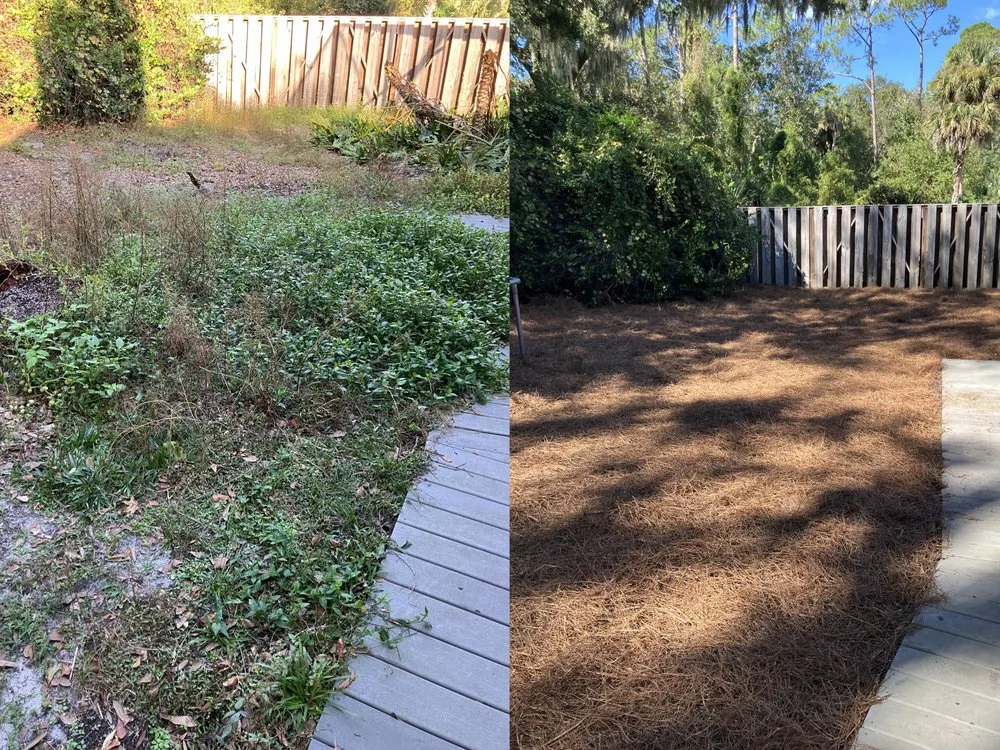 Local lawn care service in Jacksonville, FL - Green Haven Lawncare