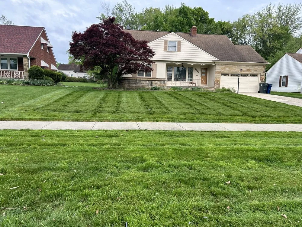 Top-rated yard cleanup service experts serving Shaker Heights, OH - Green Haven Lawncare