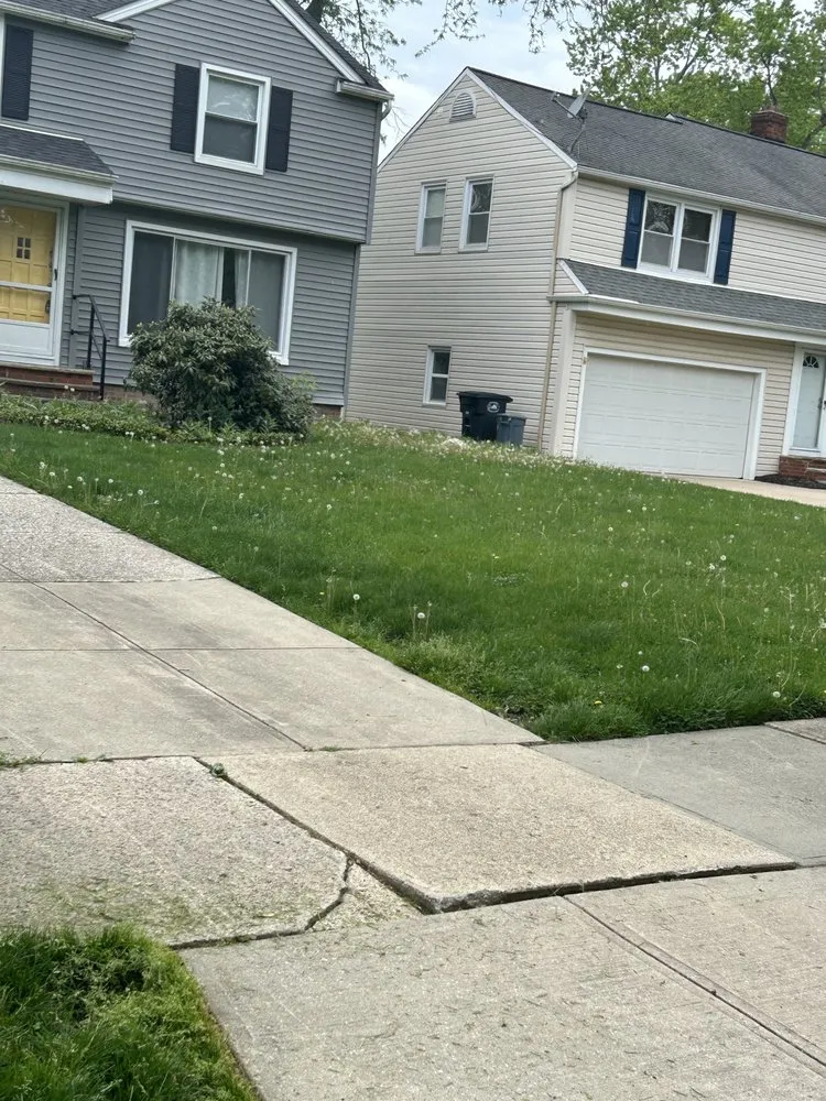 Top-rated yard cleanup service for year-round maintenance in Shaker Heights, OH by Green Haven Lawncare