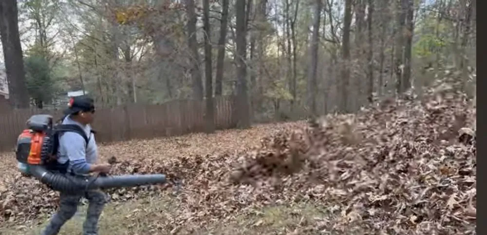 Affordable yard maintenance in Paducah, KY - Green Haven